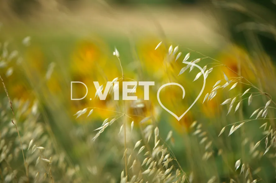 Photo TOULOUSE by VIET - 32 vallons du Gers