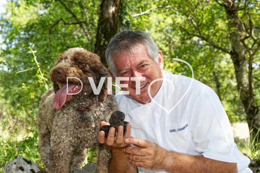 Photo TOULOUSE by VIET - Truffe