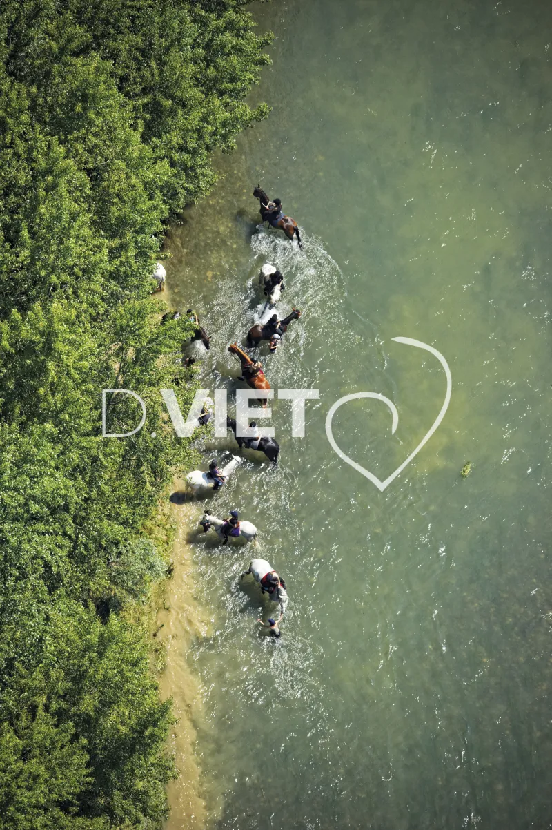 Photo TOULOUSE by VIET - Garonne chevaux
