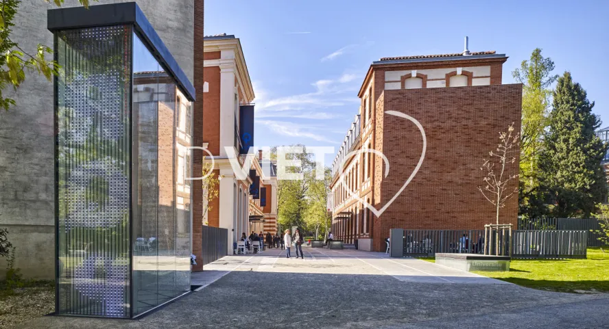 Photo TOULOUSE by VIET - Quais des savoirs