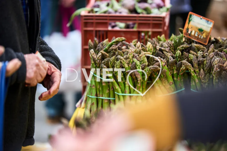 Photo TOULOUSE by VIET - VIET_008891