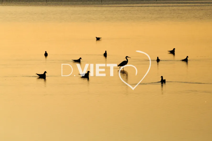 Photo TOULOUSE by VIET - Etangs de Bages et de Sigean