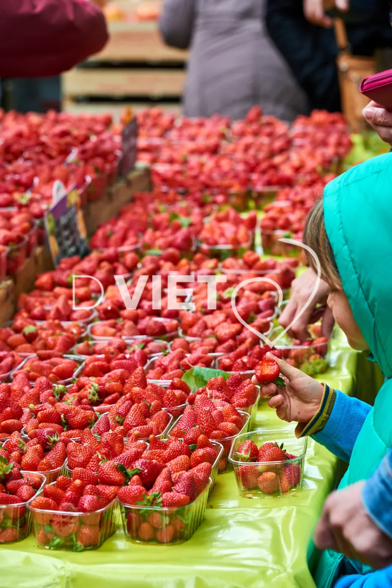 Photo TOULOUSE by VIET - VIET_008905