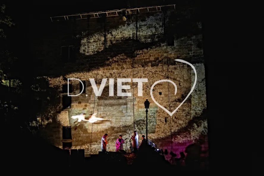 Photo TOULOUSE by VIET - spectacle de nuit