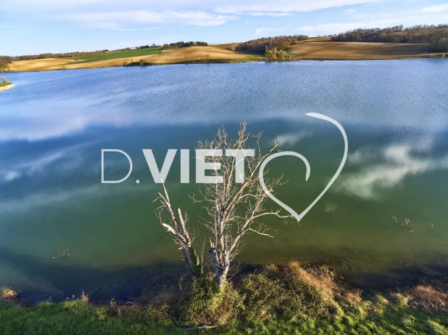 Photo TOULOUSE by VIET - LAC