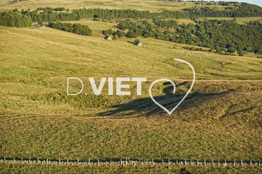 Photo TOULOUSE by VIET - Buron Aubrac