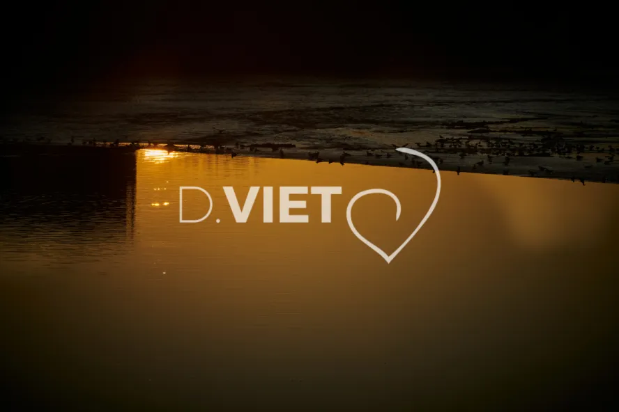 Photo TOULOUSE by VIET - Garonne Les quais