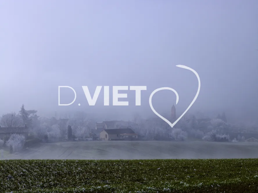 Photo TOULOUSE by VIET - VIET_008036