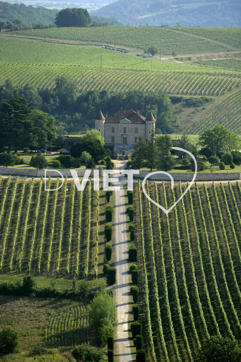 Photo TOULOUSE by VIET - 46 FLORESSAS N44°26386 E001°0070224 , ©VIET 361.com