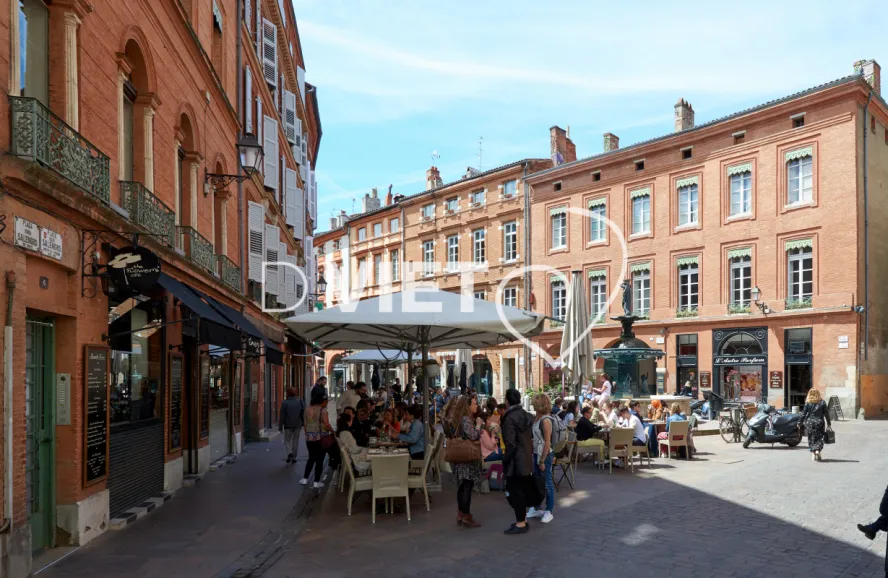 Photo TOULOUSE by VIET - Fontaine et Place salengro