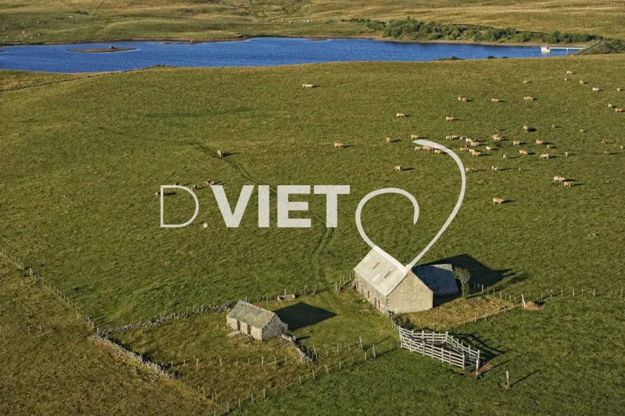 Photo TOULOUSE by VIET - Buron Aubrac