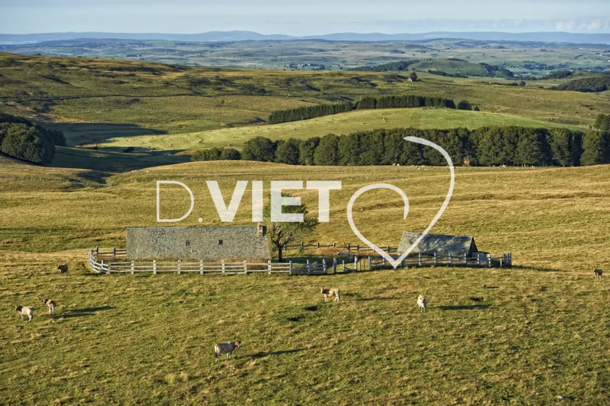 Photo TOULOUSE by VIET - Buron Aubrac