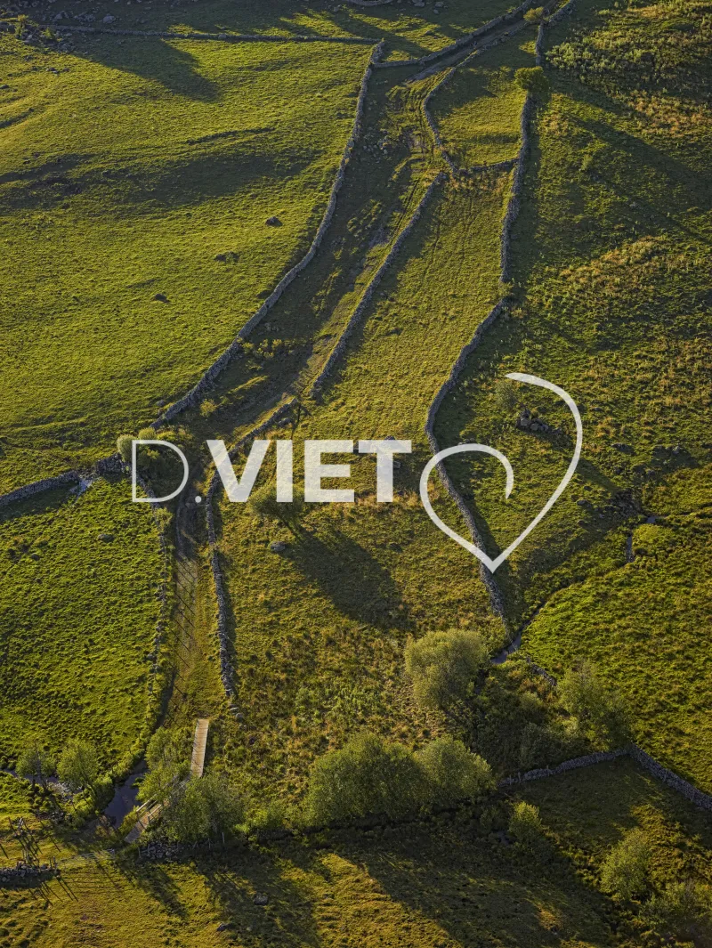 Photo TOULOUSE by VIET - Buron Aubrac