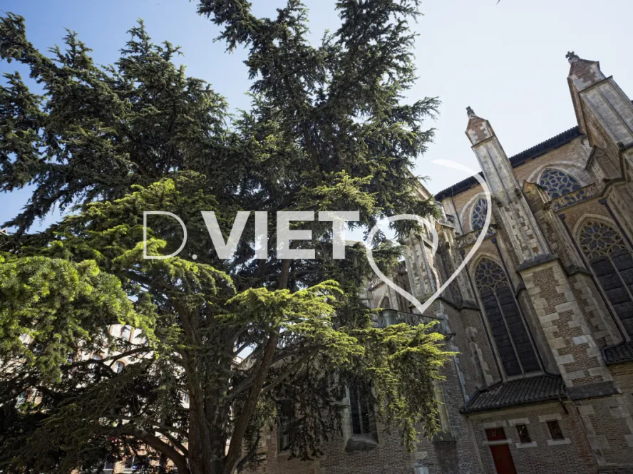 Photo TOULOUSE by VIET - Place Saint Etienne