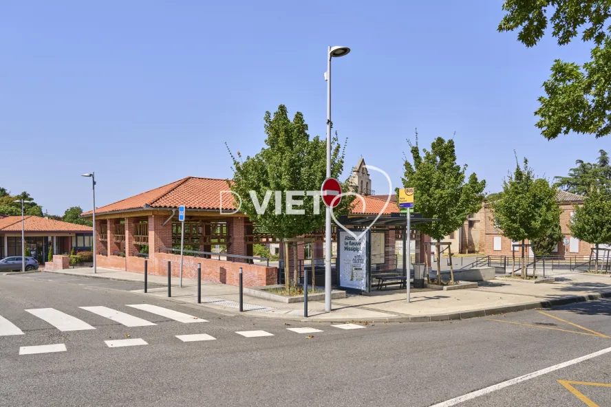 Photo TOULOUSE by VIET - FLOURENS