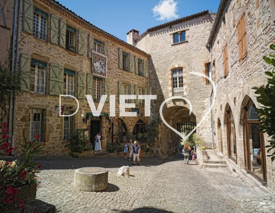 Photo TOULOUSE by VIET - VIET_003115