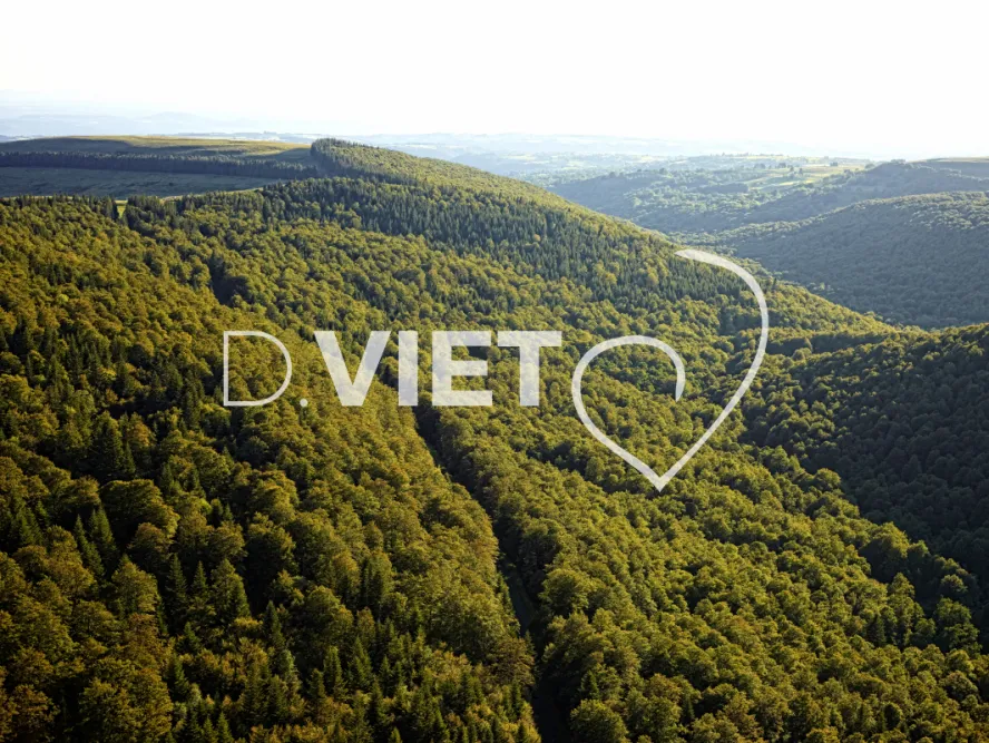 Photo TOULOUSE by VIET - Buron Aubrac