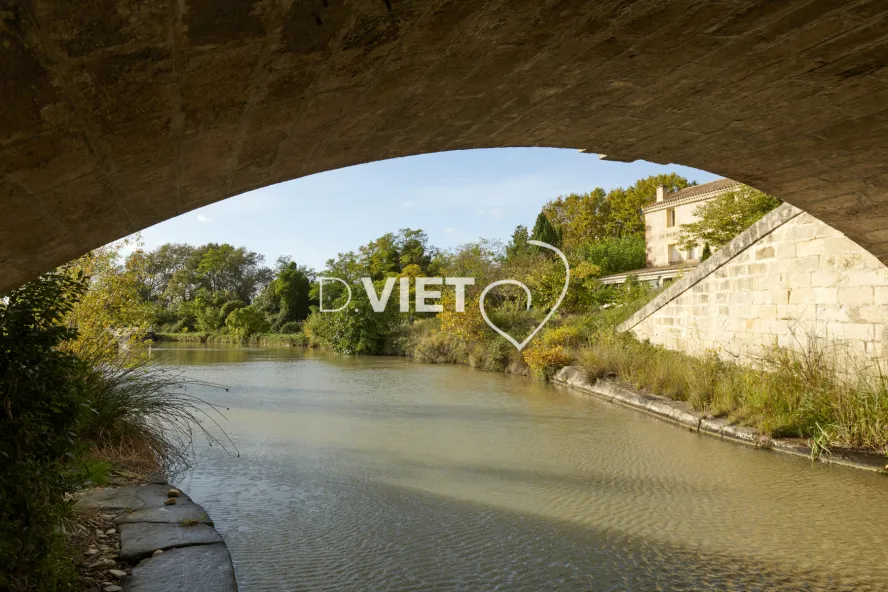 Photo TOULOUSE by VIET - D36