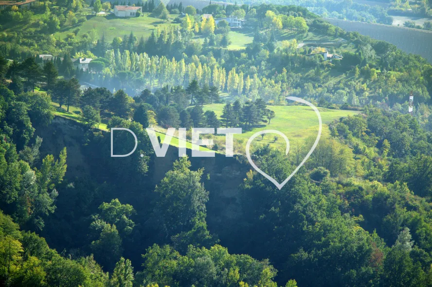 Photo TOULOUSE by VIET - VIET_006200