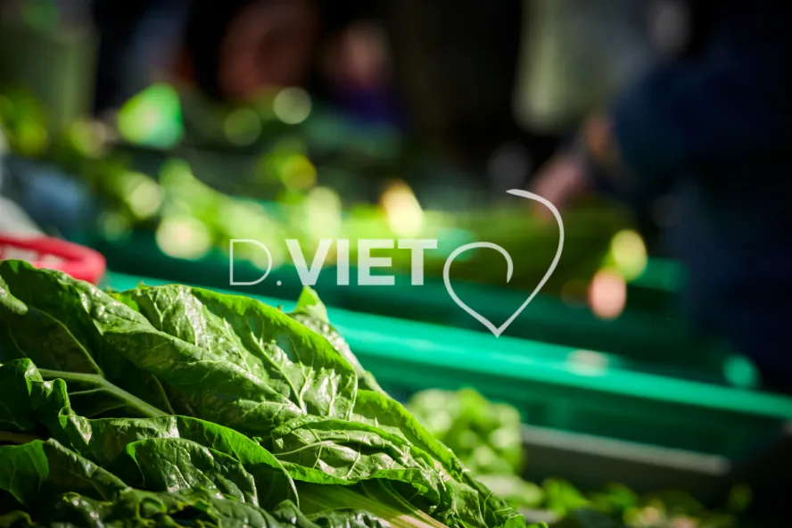 Photo TOULOUSE by VIET - MARCHE SAINT AUBIN