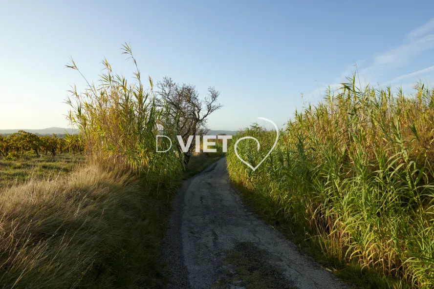 Photo TOULOUSE by VIET - Chemin de Sainte-Valière
