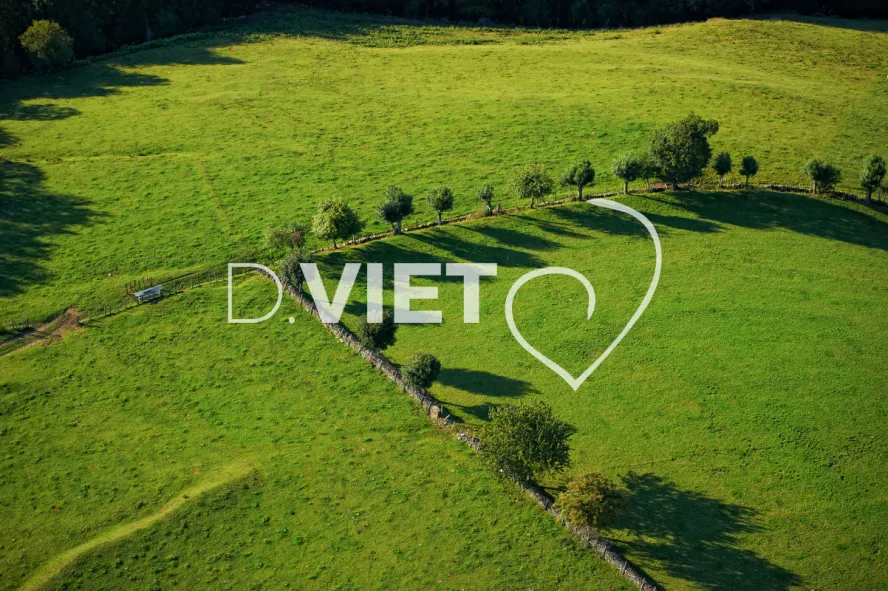 Photo TOULOUSE by VIET - VIET_005927