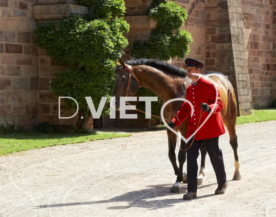 Photo TOULOUSE by VIET - Haras de Rodez