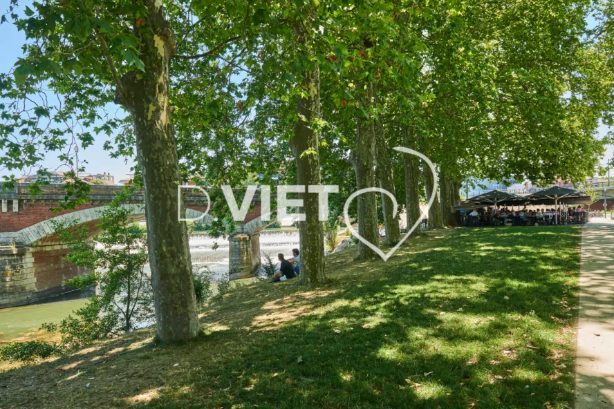 Photo TOULOUSE by VIET - L'ecluse