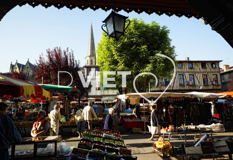 Photo TOULOUSE by VIET - Mirepoix