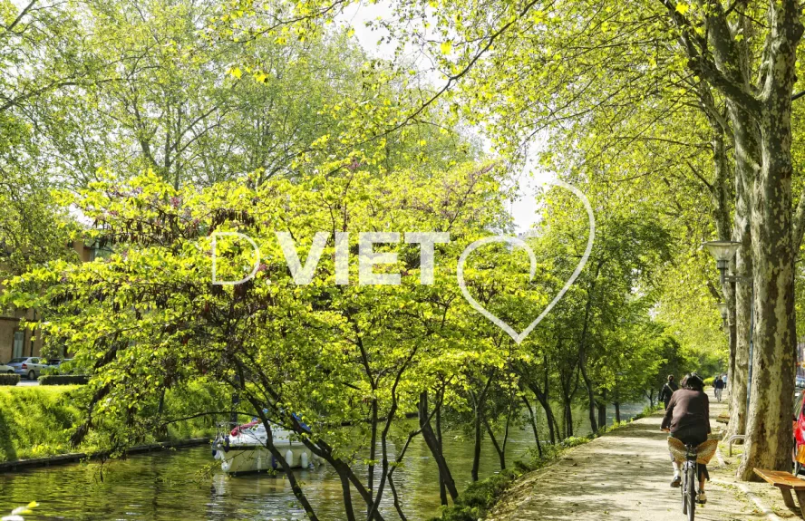 Photo TOULOUSE by VIET - Canal du midi