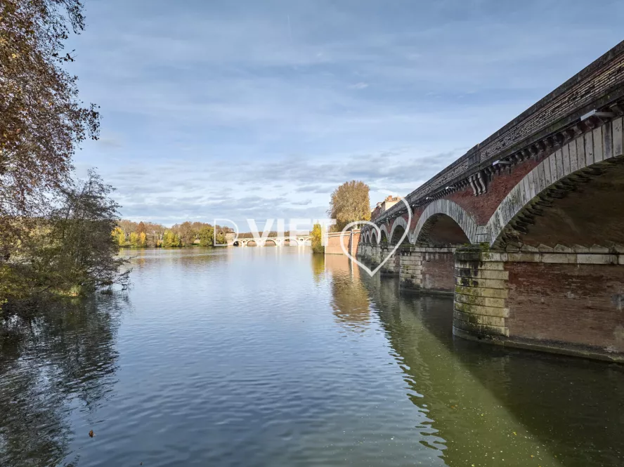 Photo TOULOUSE by VIET - Garonne et pont du halage de Tounis