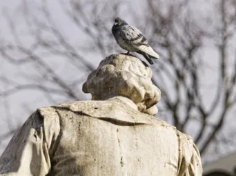 Photo TOULOUSE by VIET - Statue de la Place Wilson