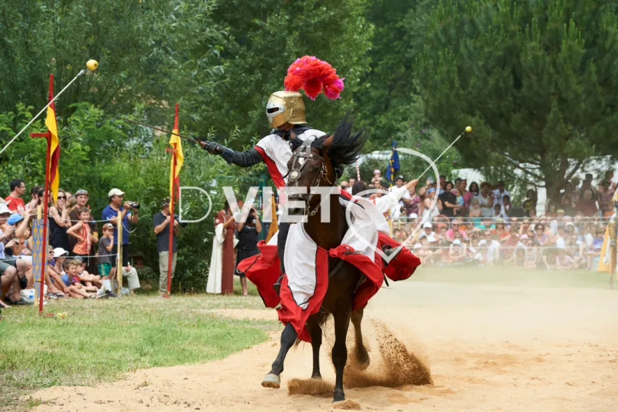 Photo TOULOUSE by VIET - Chevalerie et tournois festifs