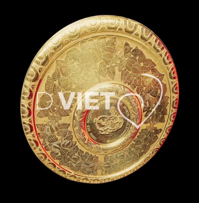 Photo TOULOUSE by VIET - Bouclier