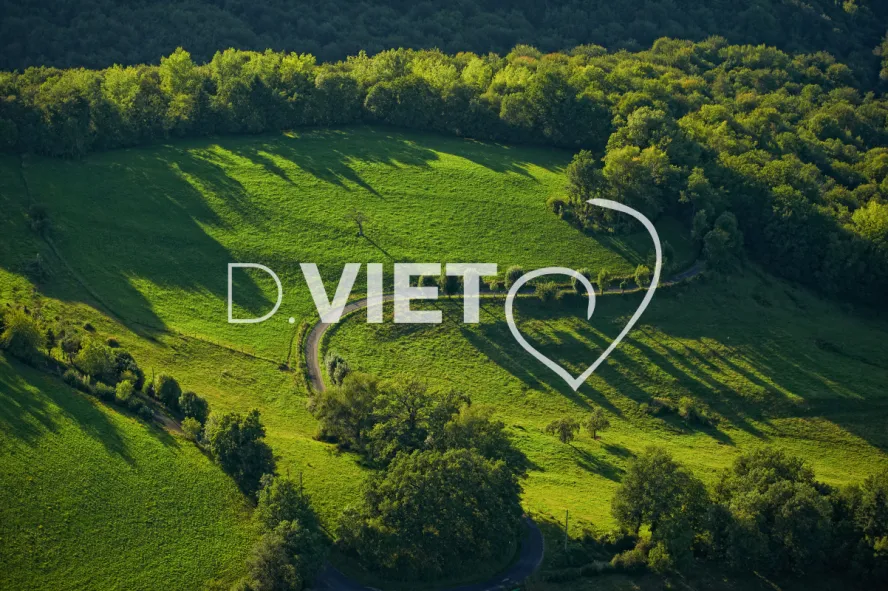 Photo TOULOUSE by VIET - VIET_006060