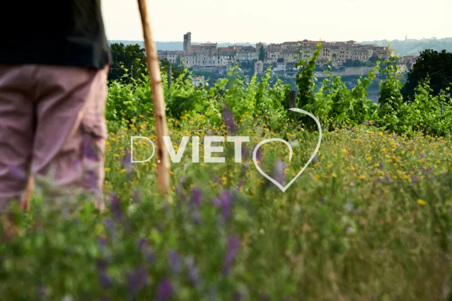 Photo TOULOUSE by VIET - Vignes et le village de Cordes