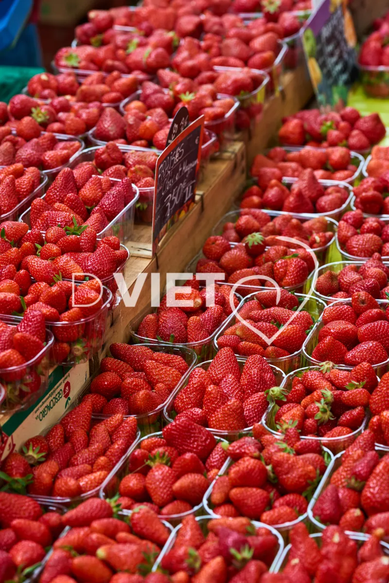 Photo TOULOUSE by VIET - VIET_008902