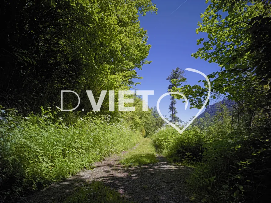 Photo TOULOUSE by VIET - chemin