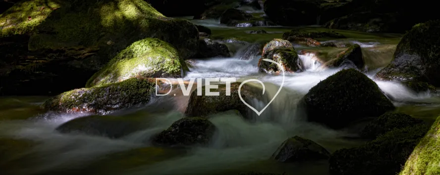 Photo TOULOUSE by VIET - cascade foret