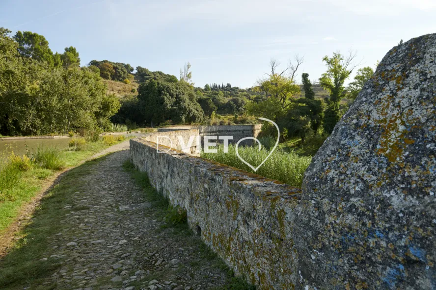 Photo TOULOUSE by VIET - REPRUDE