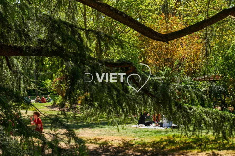 Photo TOULOUSE by VIET - Jardin du grand Rond