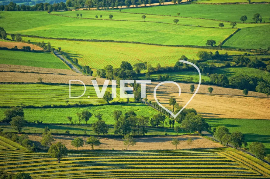 Photo TOULOUSE by VIET - VIET_006004