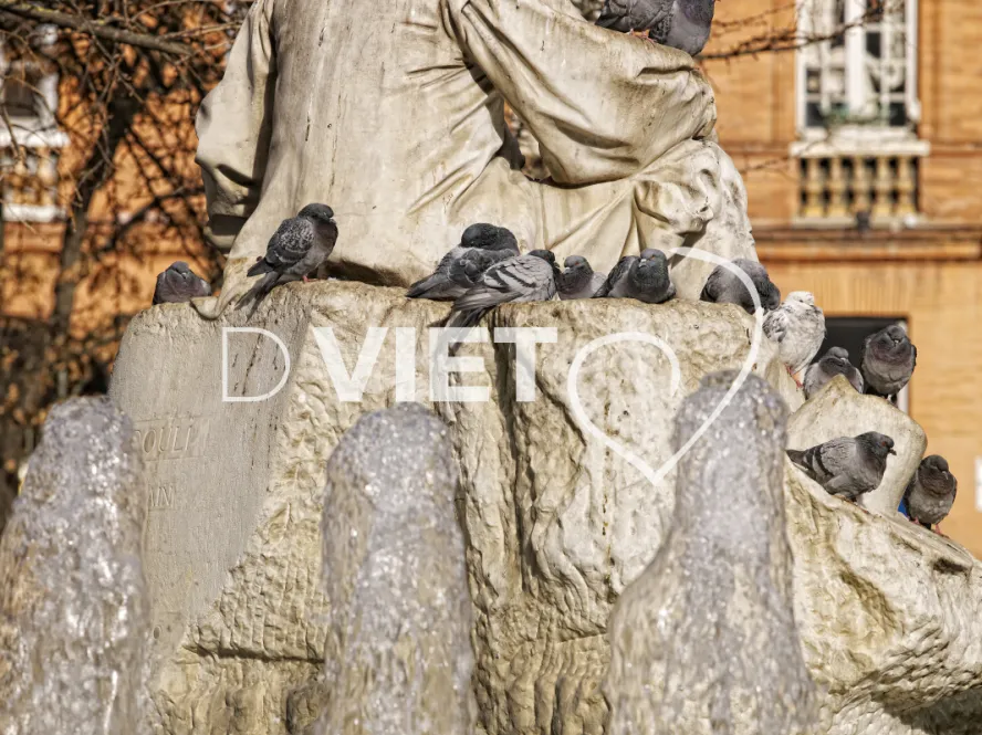Photo TOULOUSE by VIET - Place Wilson