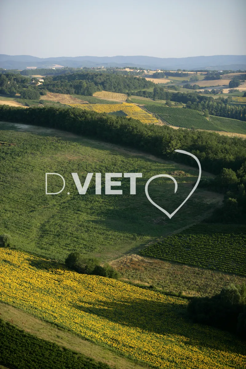 Photo TOULOUSE by VIET - 81LE GAILLACOIS N43°55570 E001°52570 ©VIET 361.com