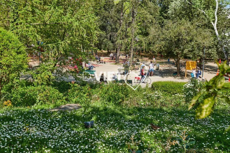 Photo TOULOUSE by VIET - Jardin Japonais