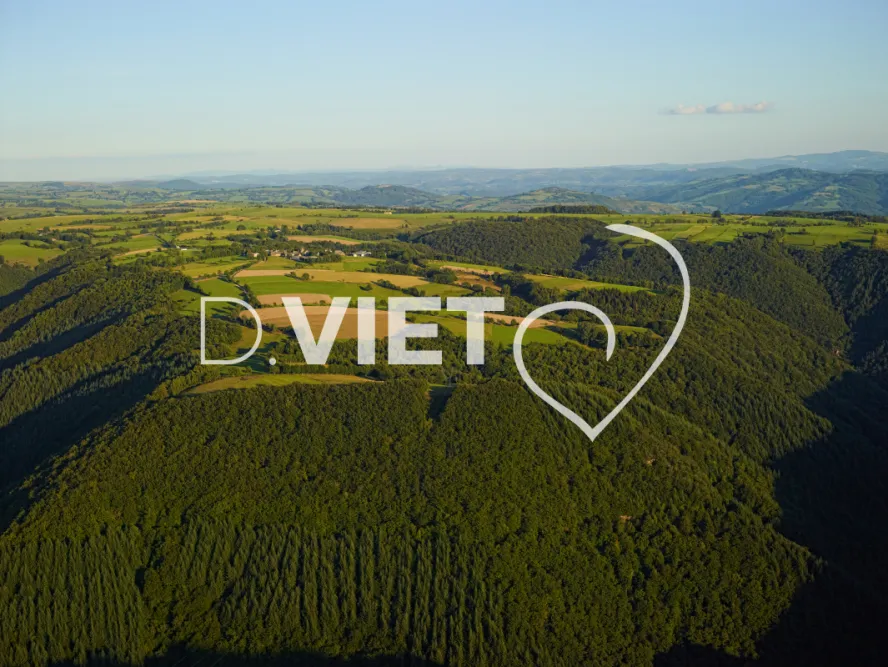 Photo TOULOUSE by VIET - VIET_005912