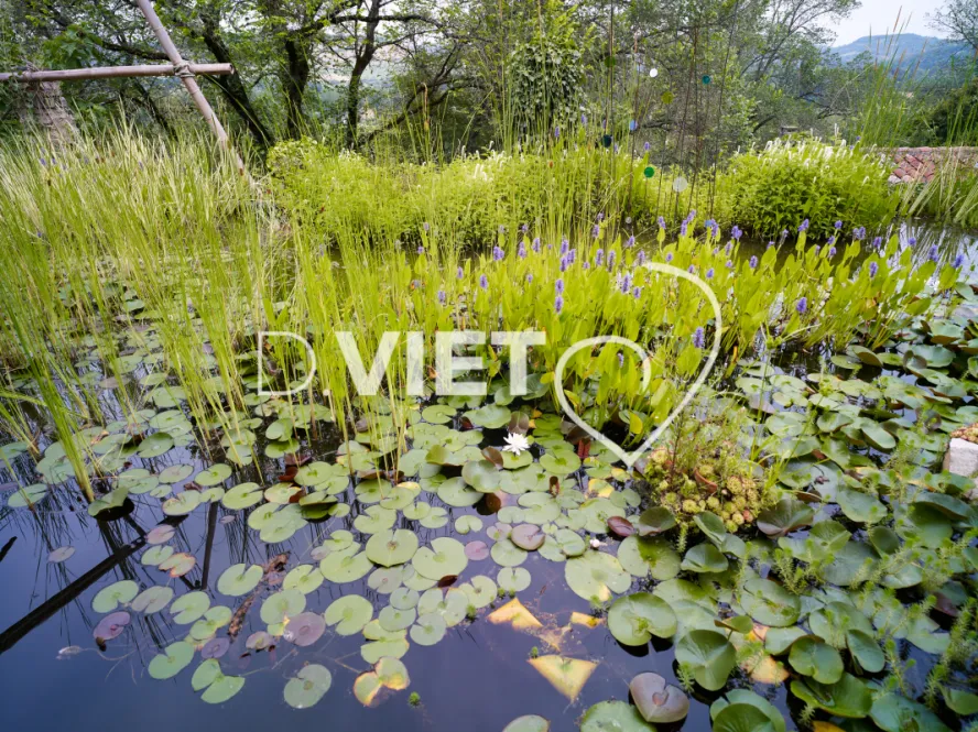 Photo TOULOUSE by VIET - les jardins du Paradis