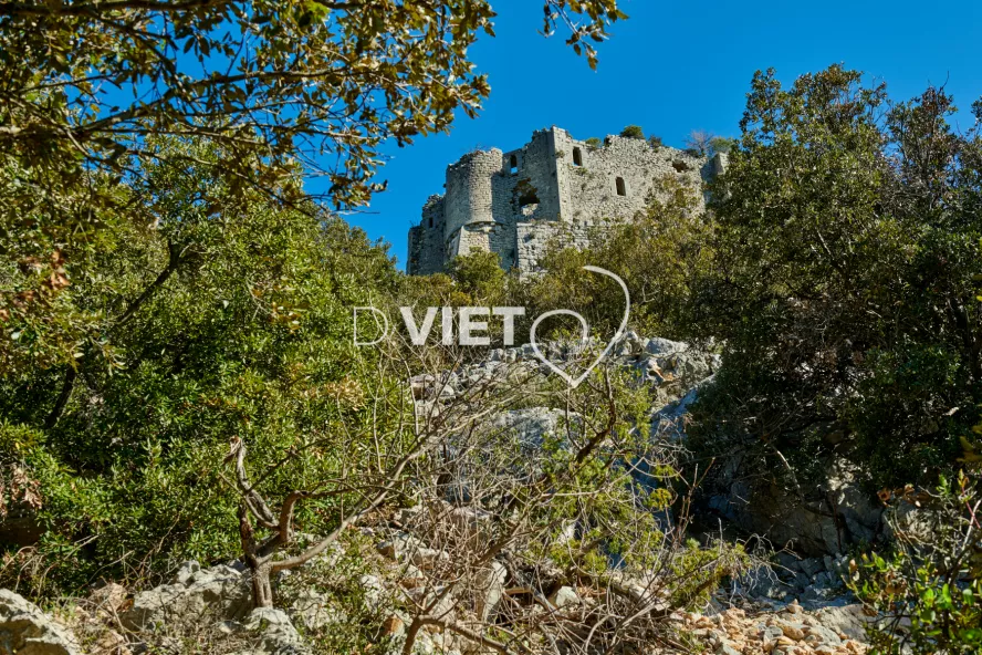 Photo TOULOUSE by VIET - Chateau de Vivouries